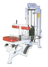 Seated Calf Machine Selectorized